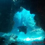 Um mergulhador atravessa um arco de coral escuro em Palancar, com a areia branca iluminada pelo sol atrás dele