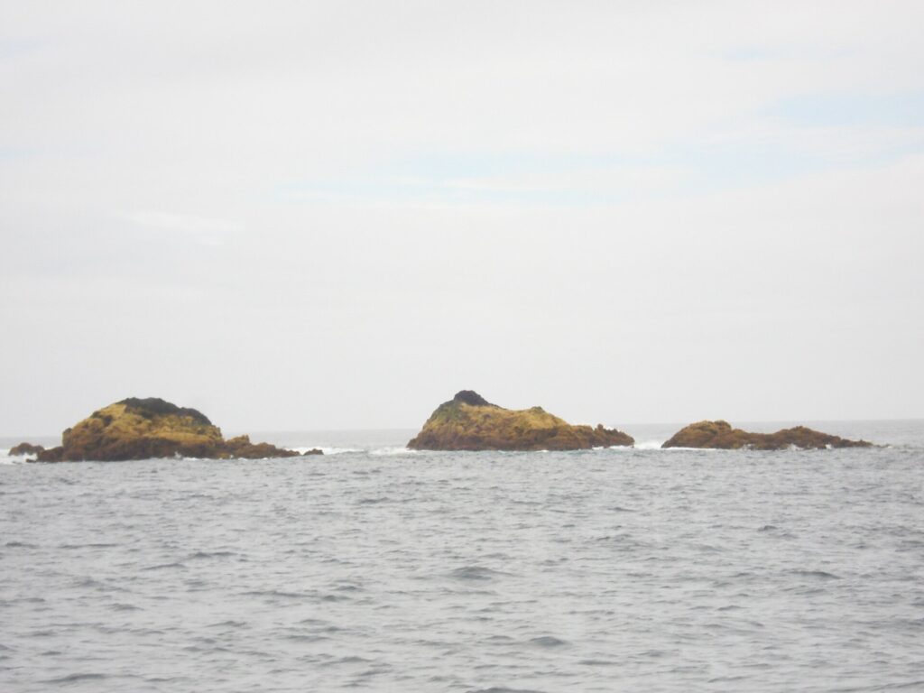 Três rochas baixas cobertas de algas ocre emergem de um mar cinza e agitado, orladas de um pouco de espuma, sob um céu branco e encoberto
