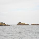 Três rochas baixas cobertas de algas ocre emergem de um mar cinza e agitado, orladas de um pouco de espuma, sob um céu branco e encoberto