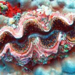 Uma tridacna de manto ondulado rosa, marrom e azul, bordado de pontos laranja, encaixada num coral maciço cinza-azulado, com uma esponja vermelha e ascídias verdes