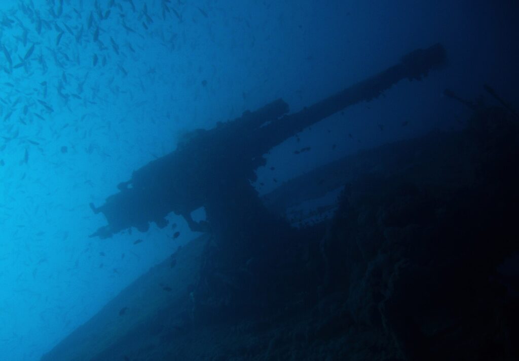 O canhão de popa do Thistlegorm em silhueta contra o azul, sob um cardume de peixinhos