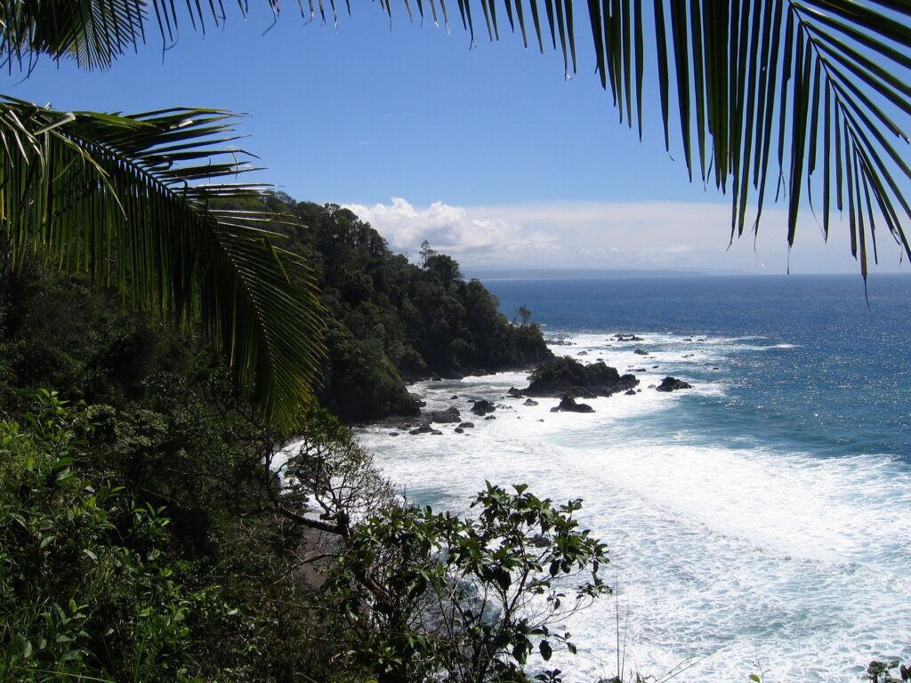 Vista do alto emoldurada por folhas de palmeira: um cabo coberto de floresta tropical desce até o mar, as ondas se desfazem em espuma branca sobre rochas negras e uma costa distante se desenha no horizonte sob um céu azul.