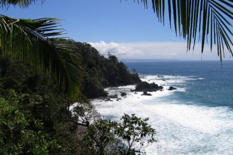 Vista do alto emoldurada por folhas de palmeira: um cabo coberto de floresta tropical desce até o mar, as ondas se desfazem em espuma branca sobre rochas negras e uma costa distante se desenha no horizonte sob um céu azul.