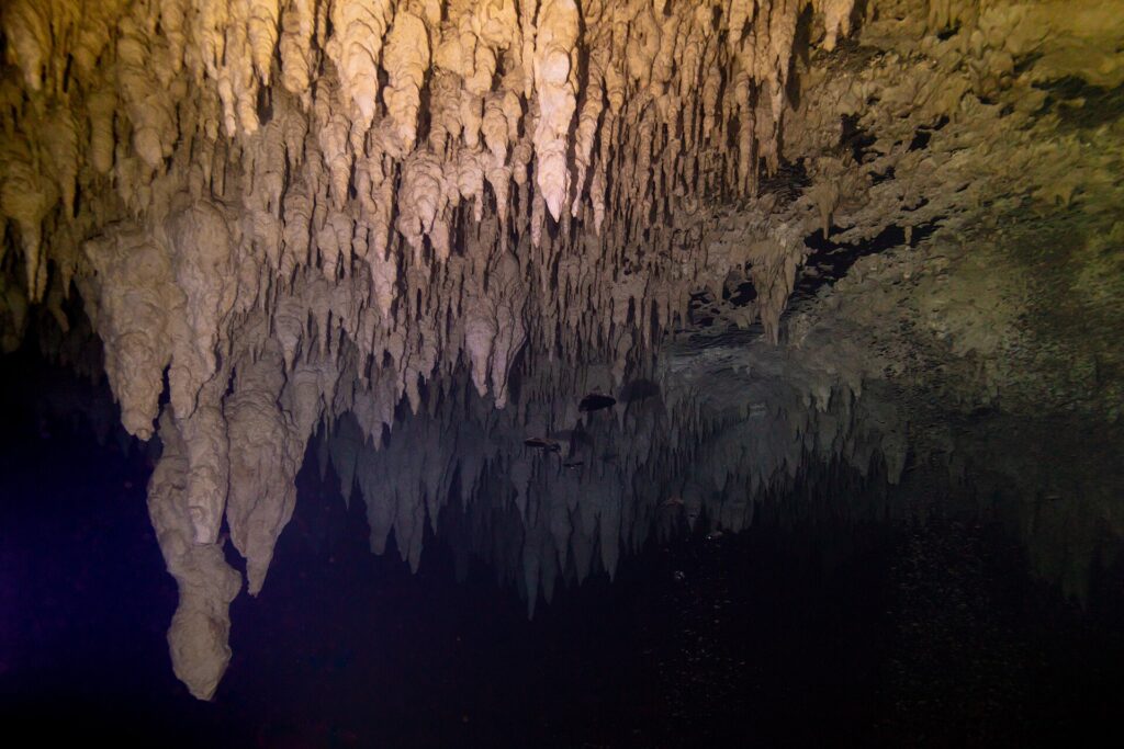 Um teto de estalactites bege iluminado por lanterna, refletido numa superfície de água negra, no cenote The Pit