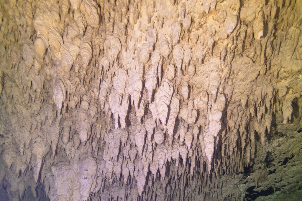 Uma parede de calcário coberta de centenas de pequenas estalactites brancas e amarelas, em close