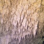 Uma parede de calcário coberta de centenas de pequenas estalactites brancas e amarelas, em close