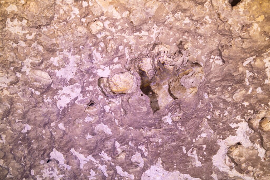 Close da rocha rosa e branca da parede do cenote, com reentrâncias, bolhas de ar presas e formações