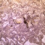 Close da rocha rosa e branca da parede do cenote, com reentrâncias, bolhas de ar presas e formações