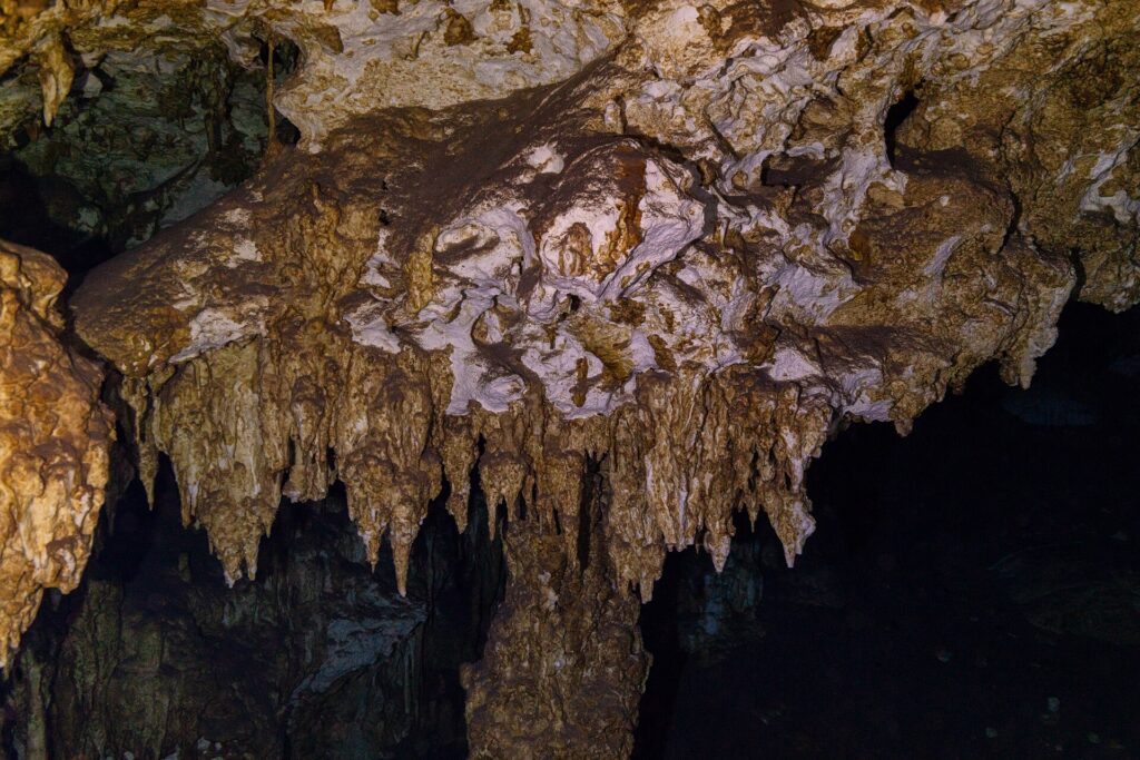 Um teto de calcário marrom e branco eriçado de estalactites curtas, iluminado por lanterna, na caverna do Dos Ojos