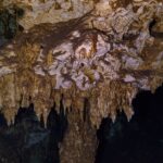 Um teto de calcário marrom e branco eriçado de estalactites curtas, iluminado por lanterna, na caverna do Dos Ojos