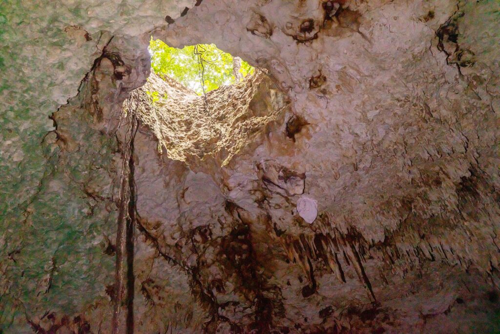 Vista de dentro da água para uma abertura redonda no teto do cenote, com a selva verde lá fora, raízes pendentes e estalactites na abóbada branca