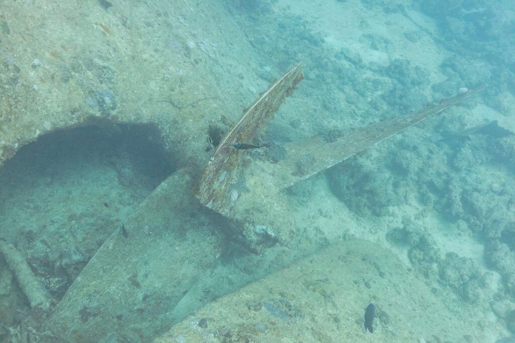 Uma pá da hélice do Thistlegorm, coberta de incrustações, pousada na areia ao lado do casco