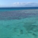 A lagoa vista do alto, água turquesa salpicada de blocos de coral escuros, a barreira onde as ondas quebram à direita e as montanhas da Grande Terre no horizonte