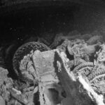 Motos empilhadas no porão do Thistlegorm, foto em preto e branco, com pneus e rodas ainda visíveis