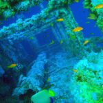 As superestruturas do Numidia cobertas de corais moles, com anthias laranja ao redor e um peixe-anjo-imperador em primeiro plano, numa água azul-esverdeada