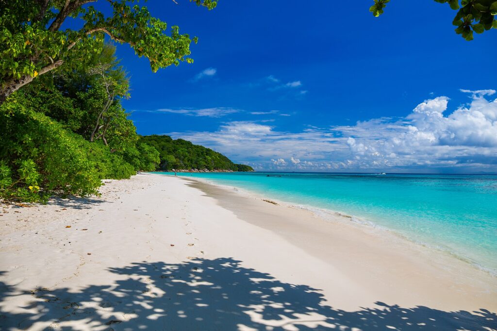 A praia de areia branca de Koh Tachai margeada de árvores sob um céu azul, com a água turquesa à direita e uma linha de boias ao largo