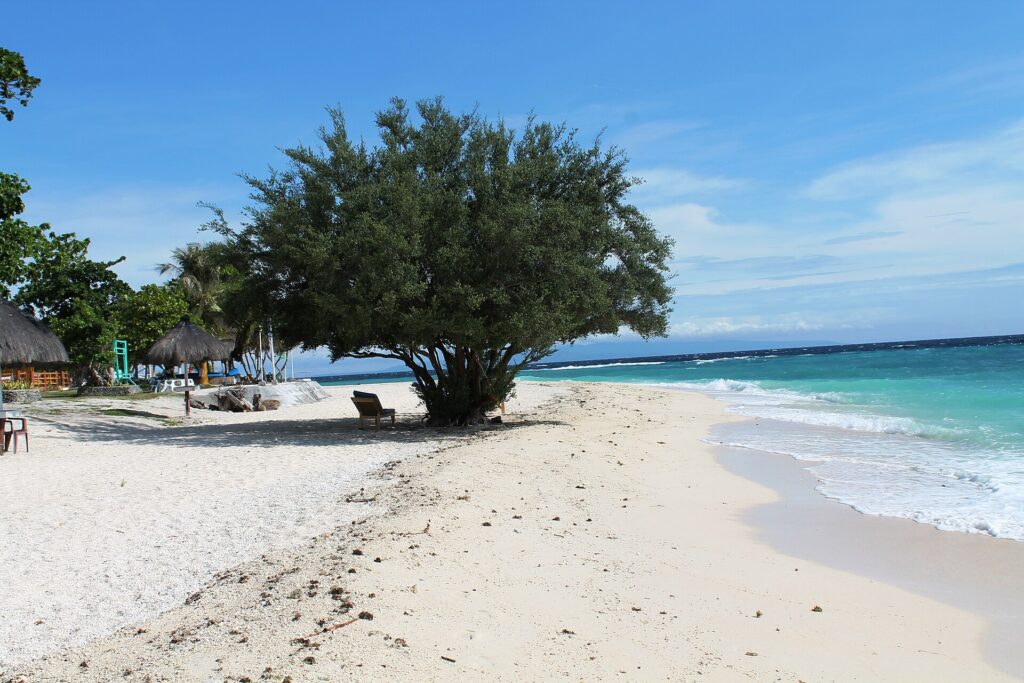 Uma praia de areia branca onde uma grande árvore frondosa faz sombra sobre uma espreguiçadeira, quiosques com teto de palha à esquerda e o mar turquesa quebrando suavemente à direita, sob um céu azul.