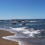 Uma praia de areia marrom-dourada onde chegam ondas com franjas de espuma, diante de um mar azul salpicado de rochas negras até o horizonte, sob um céu sem nuvens.