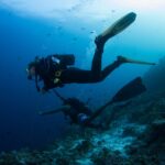 Dois mergulhadores acima de uma encosta de recife, um preso por uma linha de gancho de recife, o outro de bermuda, numa água azul cheia de peixinhos