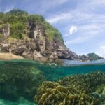 Vista metade fora, metade dentro d'água: sob a superfície, um grande maciço de coral em folhas verde-amarelado numa água turquesa límpida; acima, uma costa de rochas escuras coberta de vegetação sob um céu azul velado.