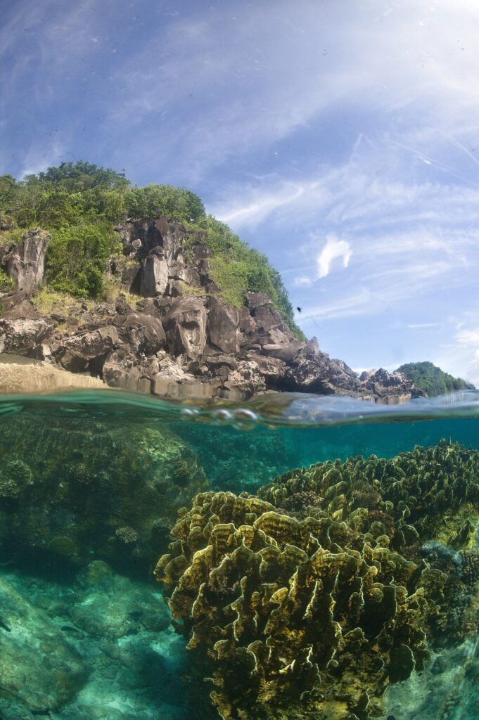 Vista metade fora, metade dentro d'água: sob a superfície, um grande maciço de coral em folhas verde-amarelado numa água turquesa límpida; acima, uma costa de rochas escuras coberta de vegetação sob um céu azul velado.