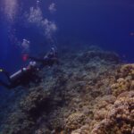 Dois mergulhadores percorrem a parede externa do Blue Hole, coberta de corais duros e anthias, com o azul profundo à esquerda