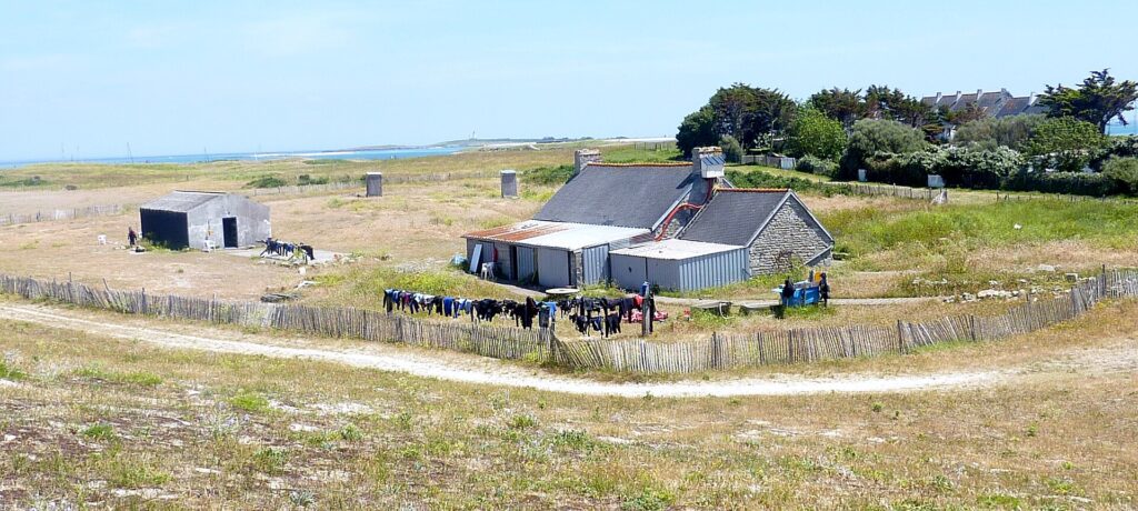 Uma casa comprida de pedra com telhados de ardósia, prolongada por anexos de chapa metálica, diante da qual uma longa fileira de roupas de mergulho seca numa cerca de ripas, no meio de uma charneca rasa, com o mar e um farol ao longe.