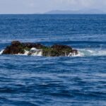 O topo de Richelieu Rock aparece na maré baixa, uma rocha escura coberta de algas verdes e batida pelas ondas, com as ilhas Surin no horizonte