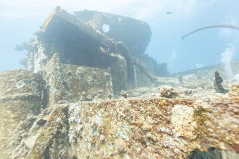 As superestruturas da parte da frente do Thistlegorm cobertas de corais duros, vistas do convés