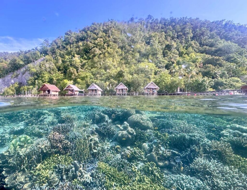 O recife de coral sob a superfície e os bangalôs sobre palafitas do Terimakasih Homestay, ao pé de um morro coberto de mata