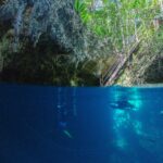 Vista metade fora, metade dentro d'água na entrada do cenote The Pit: a abóbada de calcário e a escada de madeira sob a selva em cima, dois mergulhadores na água azul profunda embaixo