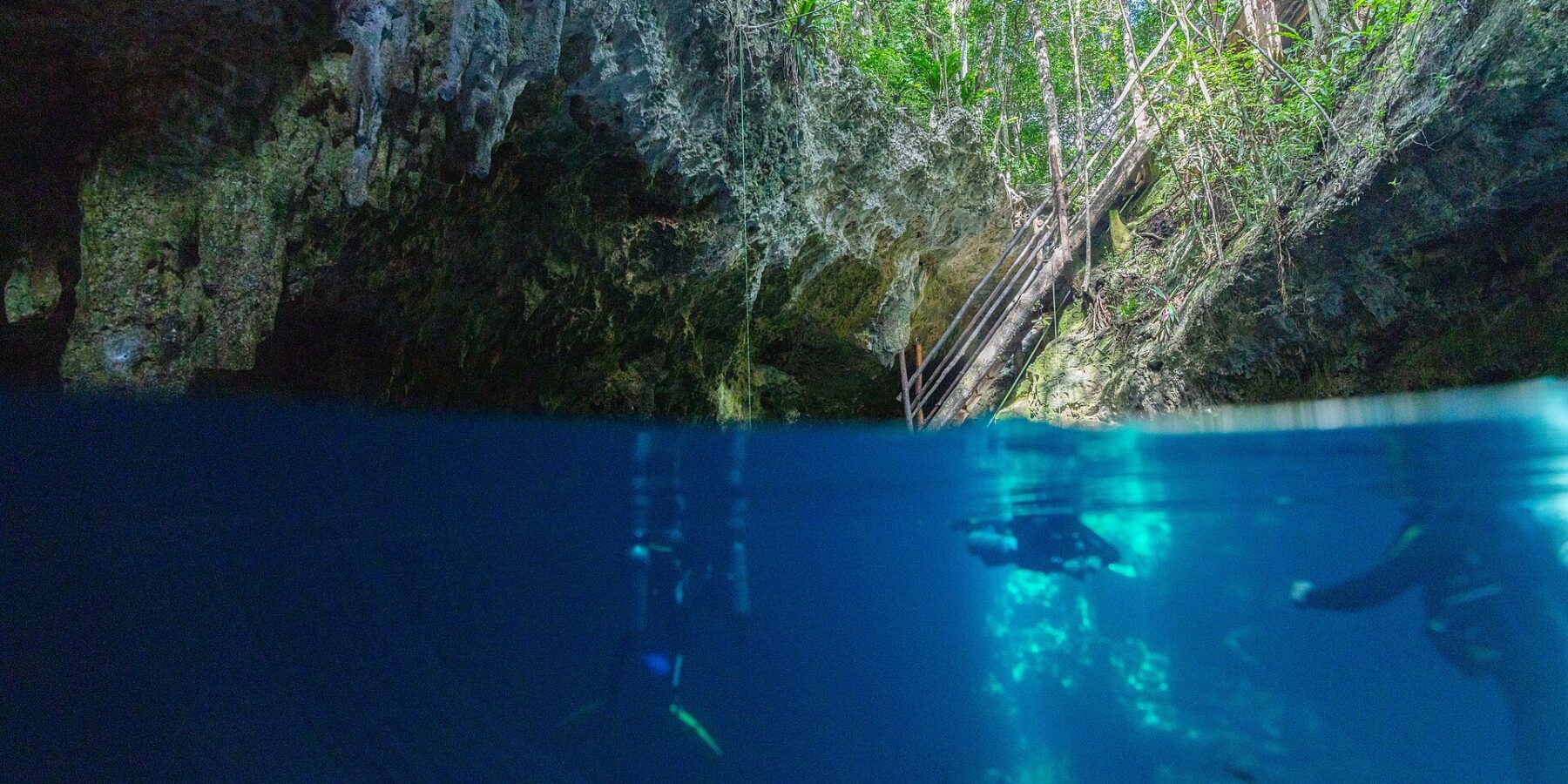 Vista metade fora, metade dentro d'água na entrada do cenote The Pit: a abóbada de calcário e a escada de madeira sob a selva em cima, dois mergulhadores na água azul profunda embaixo