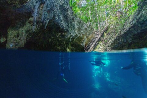 Vista metade fora, metade dentro d'água na entrada do cenote The Pit: a abóbada de calcário e a escada de madeira sob a selva em cima, dois mergulhadores na água azul profunda embaixo